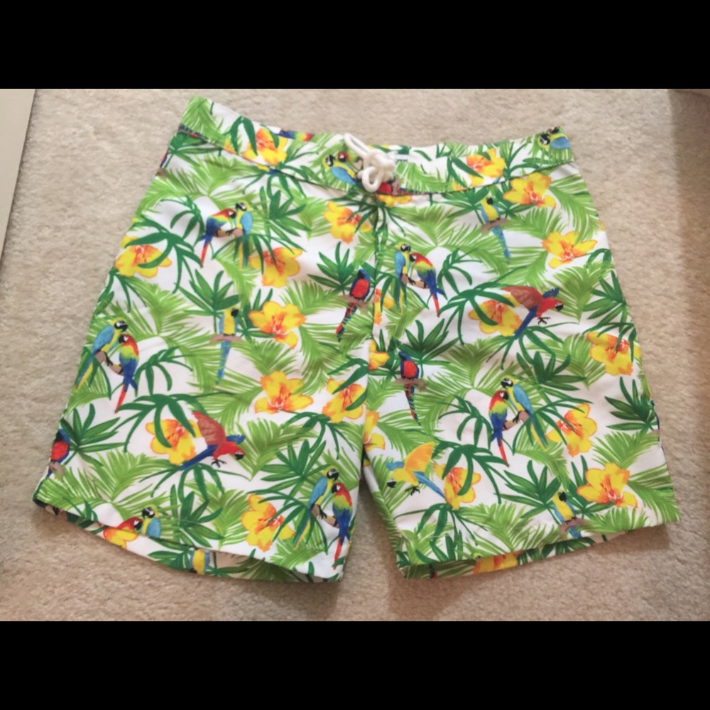 American Apparel Swim Shorts
